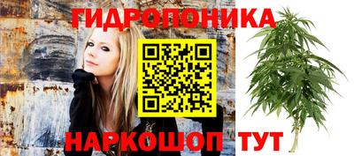 прущие грибы Кулебаки