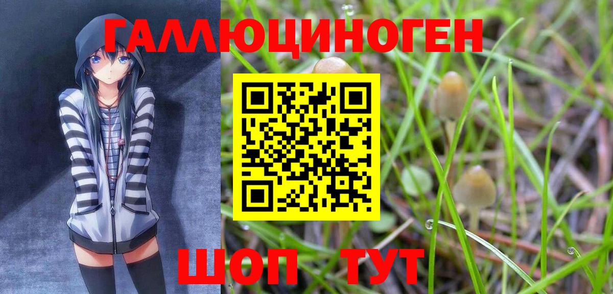 Галлюциногенные грибы GOLDEN TEACHER Гулькевичи