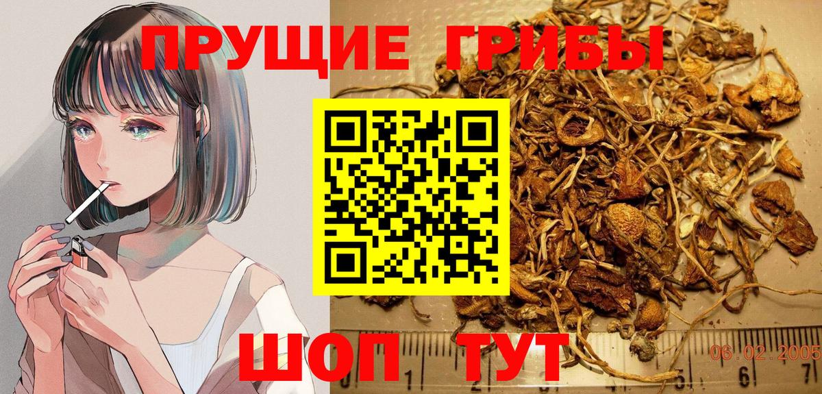 Псилоцибиновые грибы MAGIC MUSHROOMS  Вход с VPN  Гулькевичи 